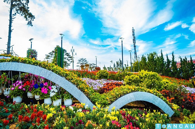 da lat flower festival