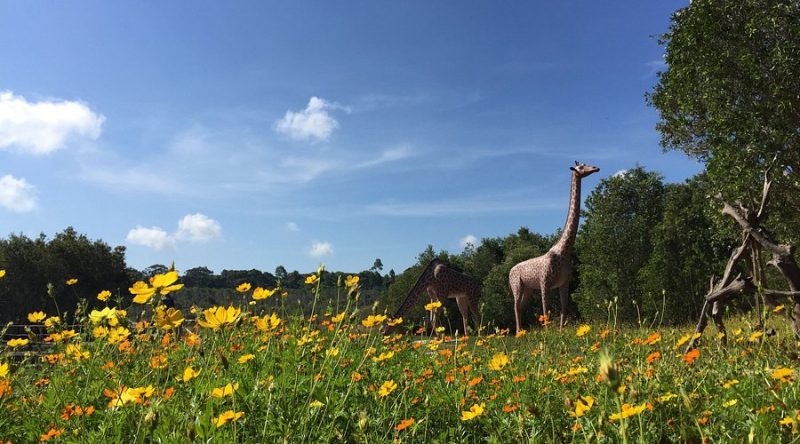 Binh Chau Nature Reserve - Phuoc Buu