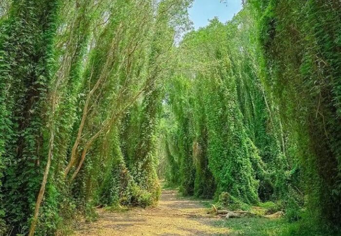 Trekking at Nature Reserve